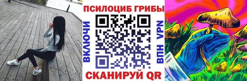 Псилоцибиновые грибы Psilocybe  где продают   Жуковка 
